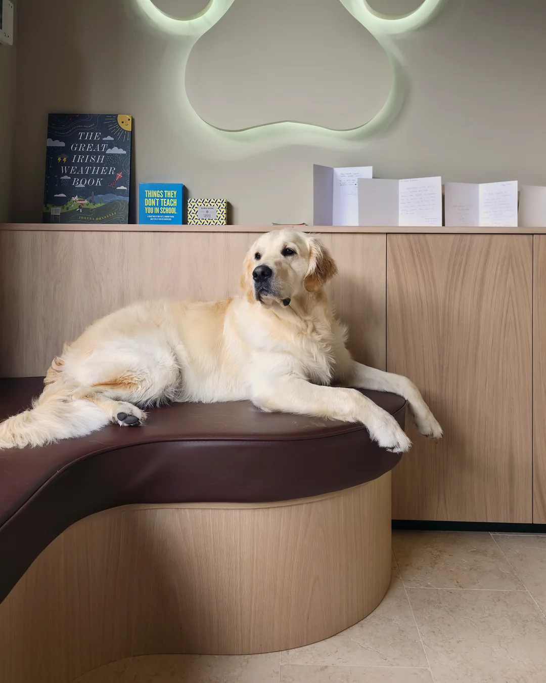 Pup Coature grooming gallery